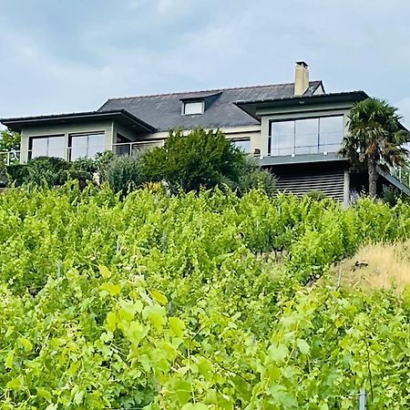 Maison des Coteaux blancs Chaudefonds-sur-Layon Extérieur photo