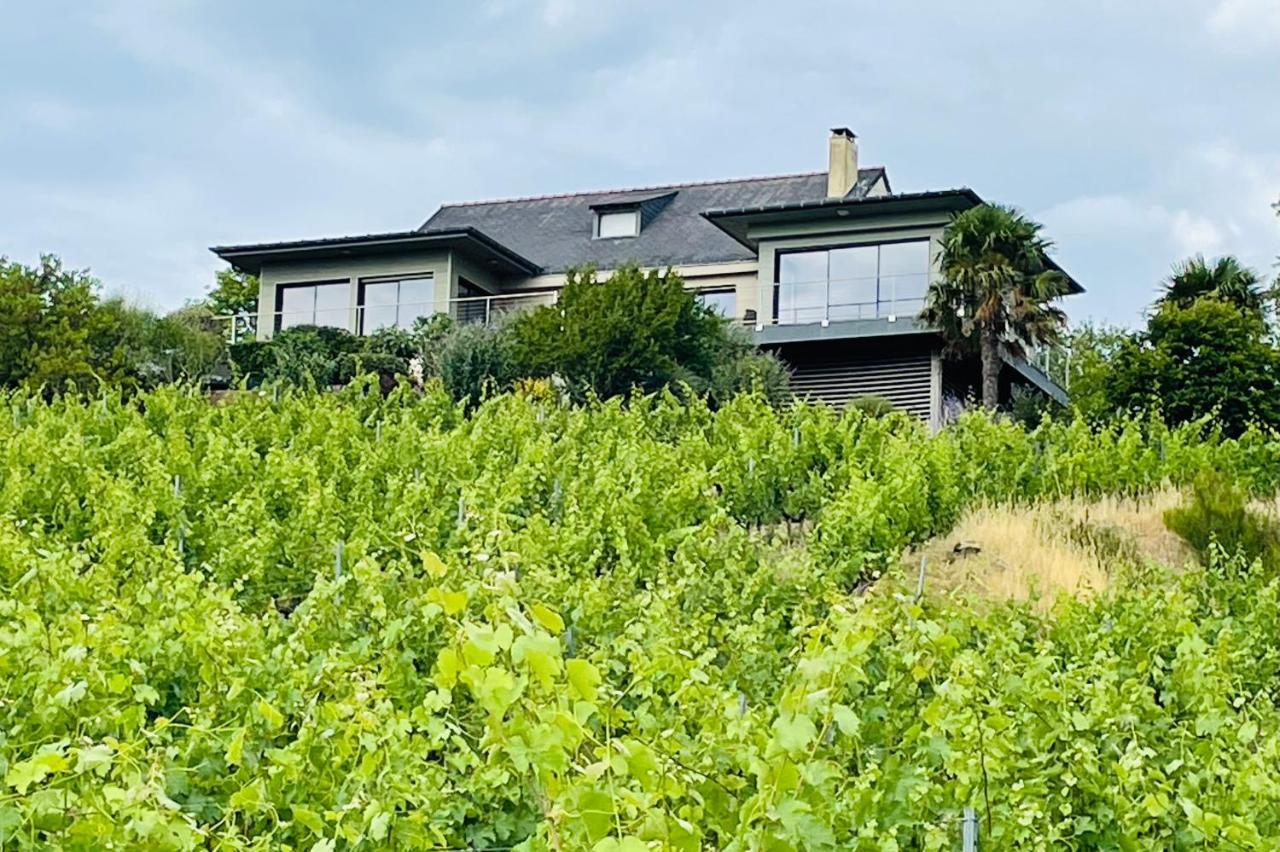 Maison des Coteaux blancs Chaudefonds-sur-Layon Extérieur photo