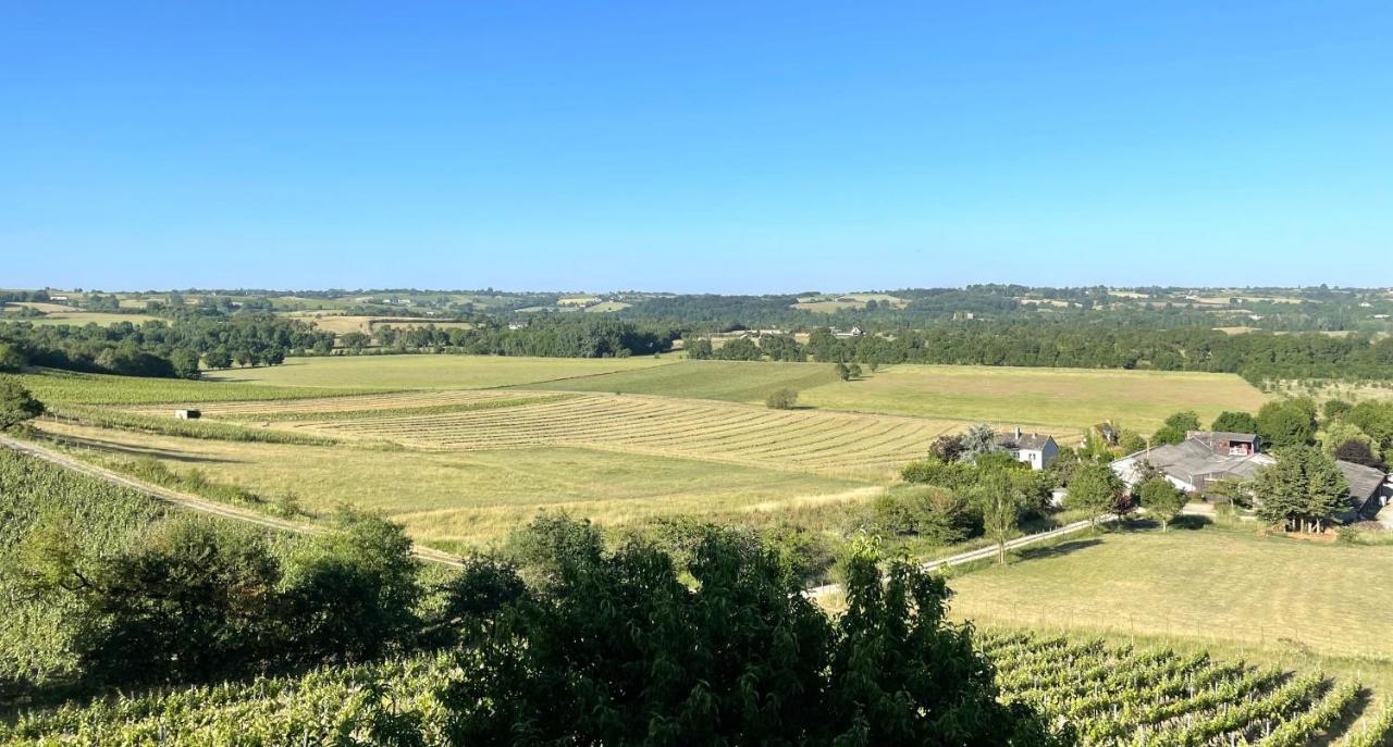 Maison des Coteaux blancs Chaudefonds-sur-Layon Extérieur photo