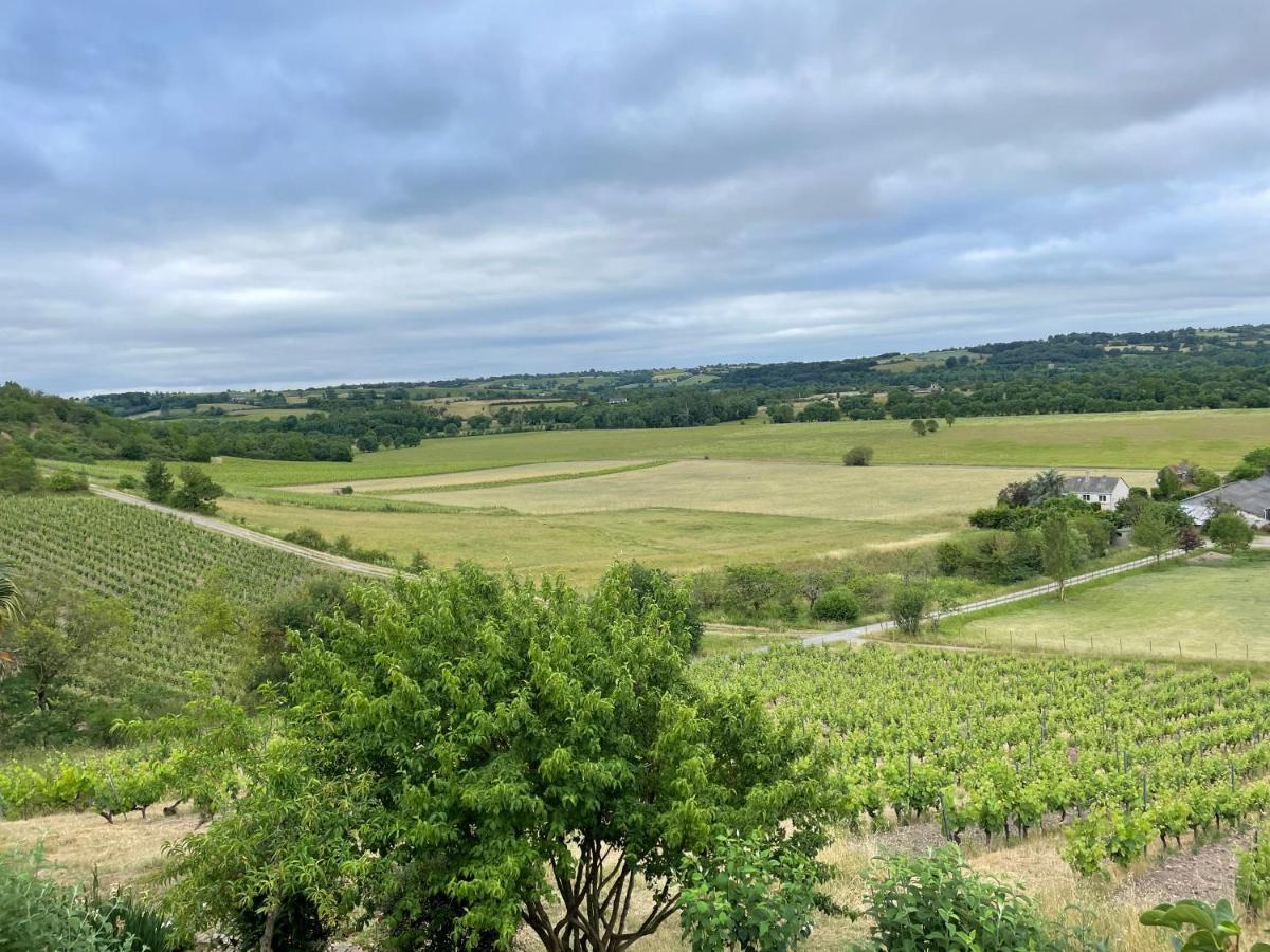 Maison des Coteaux blancs Chaudefonds-sur-Layon Extérieur photo