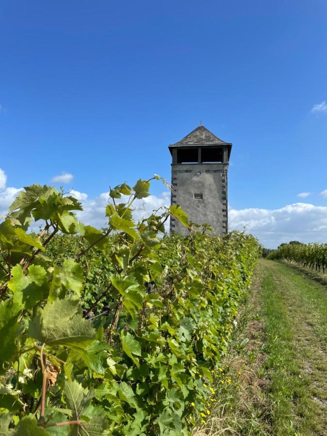 Maison des Coteaux blancs Chaudefonds-sur-Layon Extérieur photo