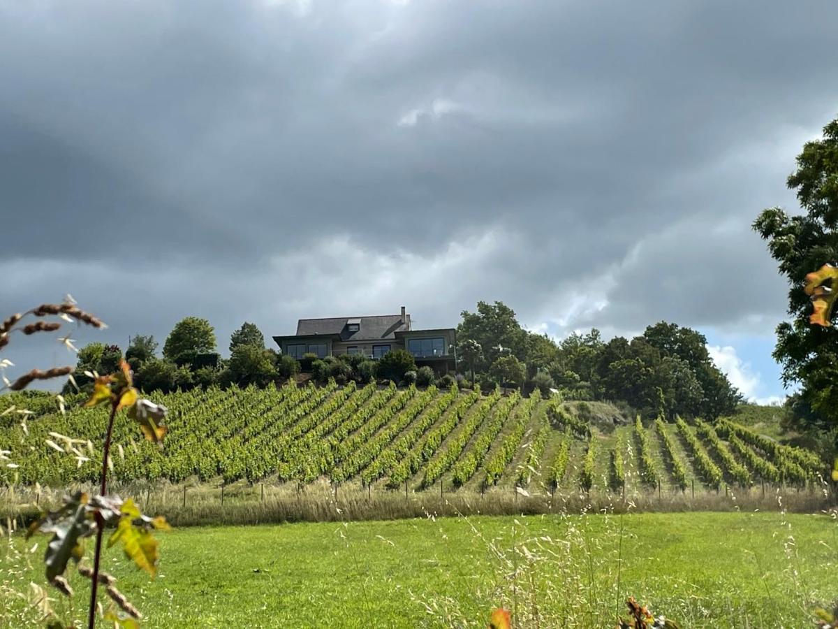 Maison des Coteaux blancs Chaudefonds-sur-Layon Extérieur photo
